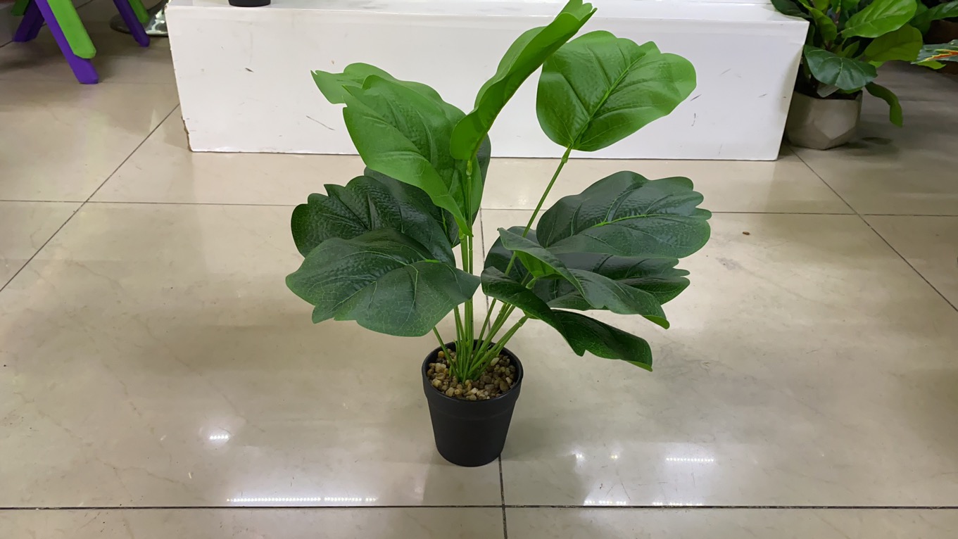 家居用品/仿真工艺品/仿真花产品图