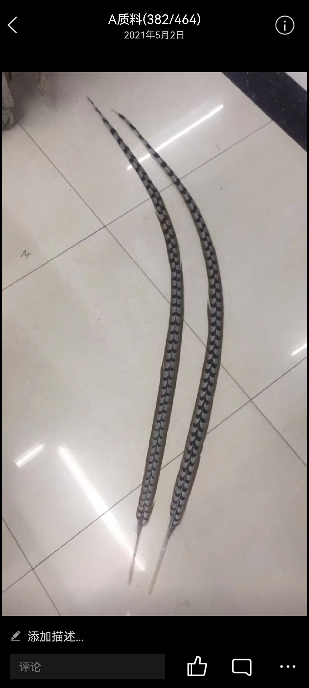 装饰羽毛工艺品产品图