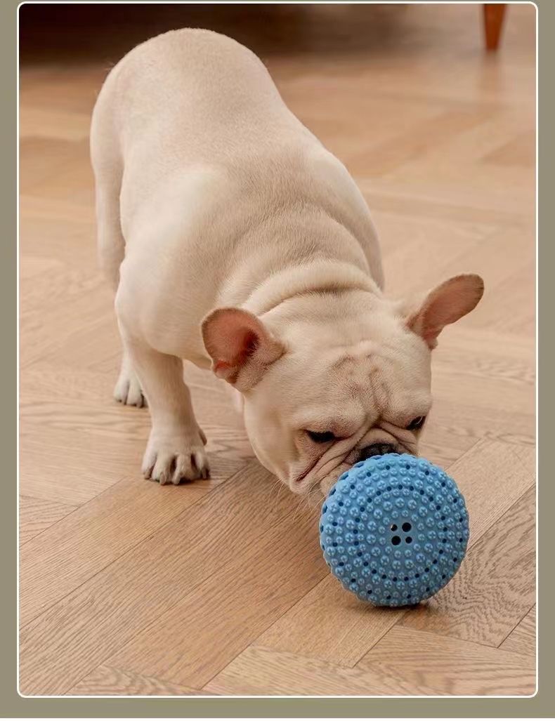 宠物用品！11cm宠物漏食玩具
TPR软胶[玫瑰][玫瑰]