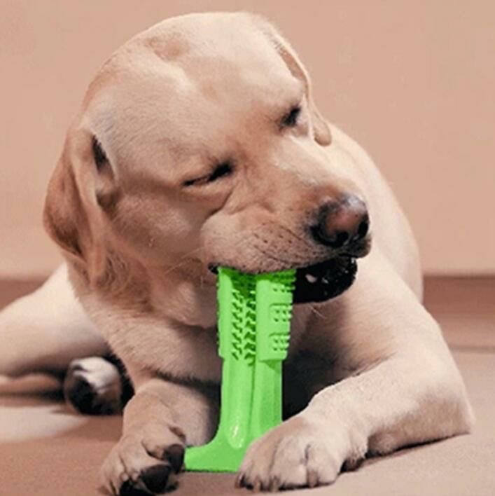 宠物牙刷-大号