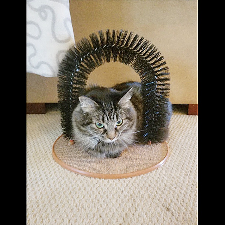 Pet hair rubbing device Specification image