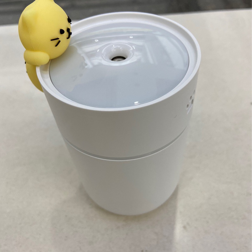 Cat humidifier details Picture