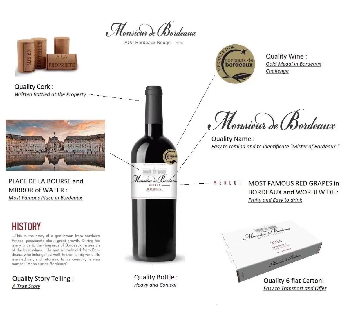 Mr. Bordeaux Dry Red Wine Bottle Display