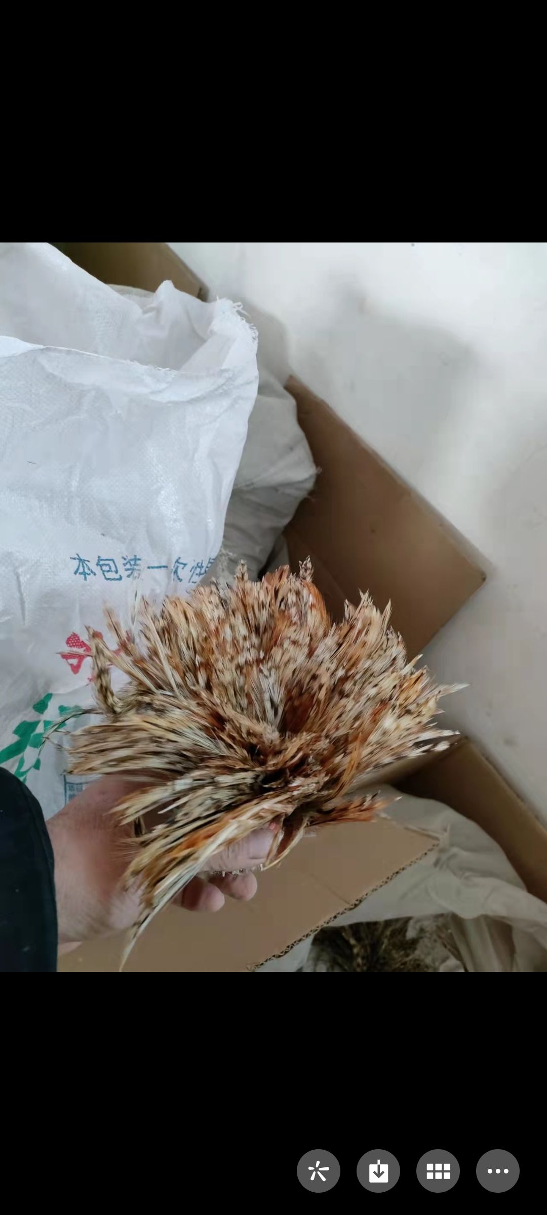 工艺品上装饰/头饰上用/衣服上装饰产品图