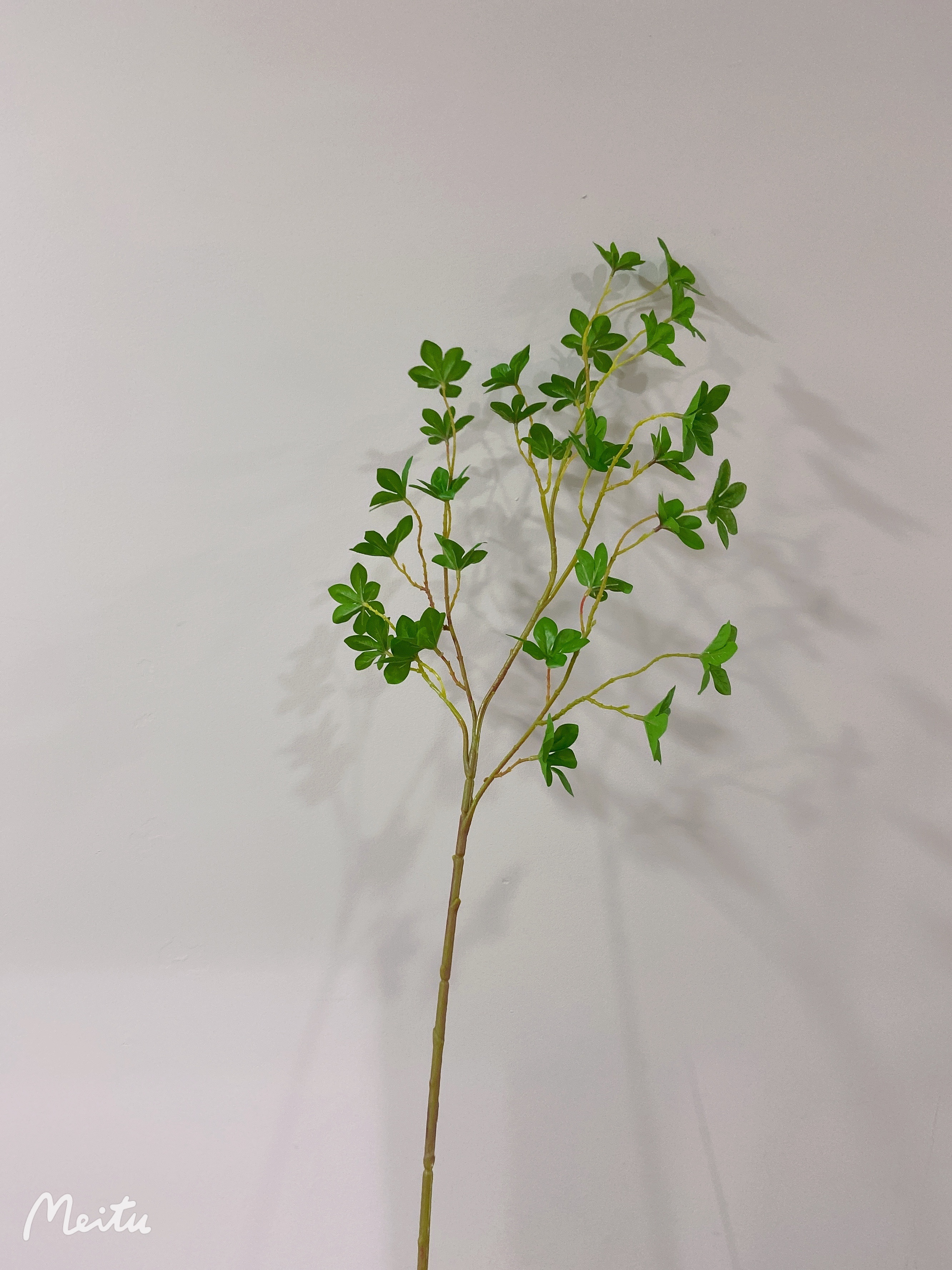 工厂店仿真植物日本吊钟马醉木造景歺桌花插软件装饰摆件
