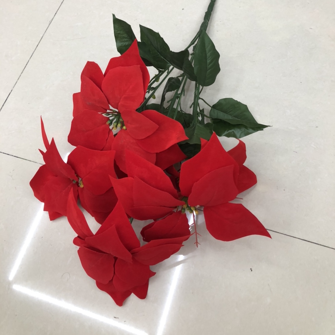 Flower No. 7