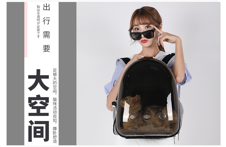 猫包宠物背包外出便携透明太空舱宠物包出门猫咪用品透气双肩包 详情图3