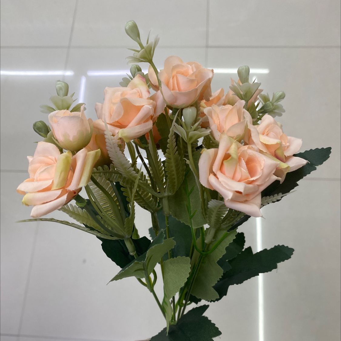 15头南方韩国玫