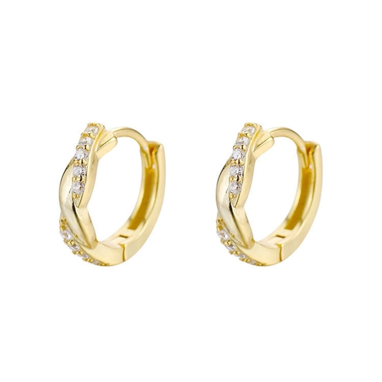 925 Silver ear rings for women, fashionable and elegant, anti-allergy ear buckles, new Korean version earrings 307 Application Scenario