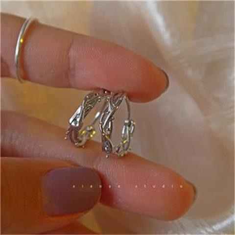 925 Silver ear rings for women, fashionable and elegant, anti-allergy ear buckles, new Korean version earrings, 300