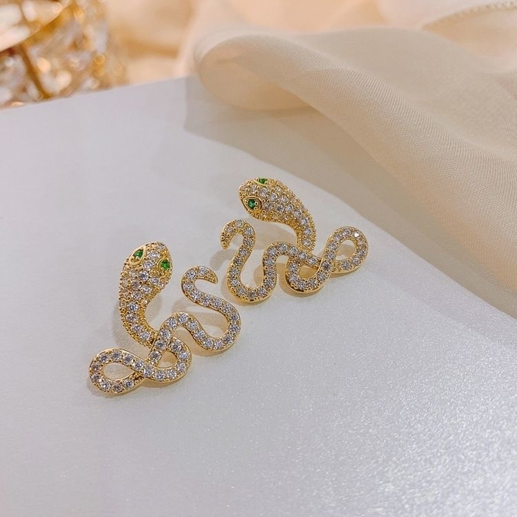 925 Silver Ear rings for women, fashionable and elegant, anti-allergy ear buckles, new Korean version earrings 305