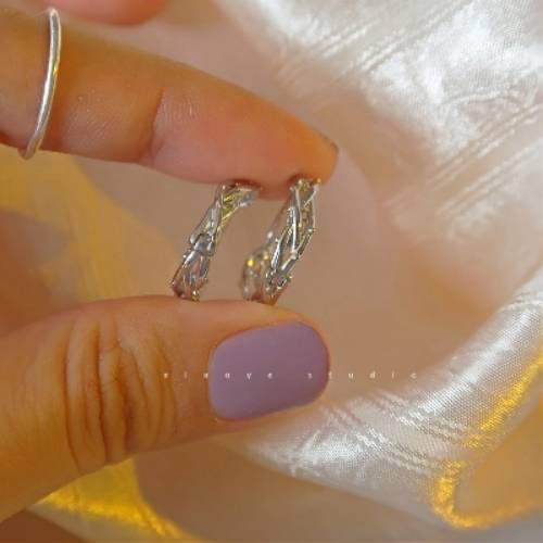 925 Silver ear rings for women, fashionable and elegant, anti-allergy ear buckles, new Korean version earrings, 300 Application Scenario