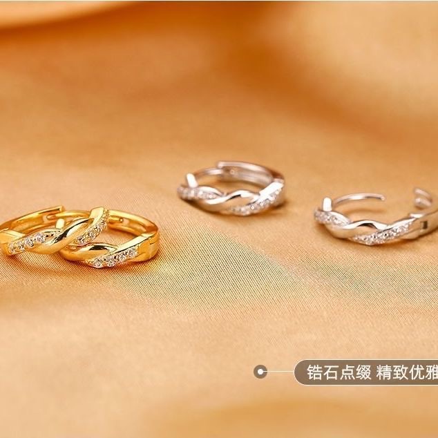 925 Silver ear rings for women, fashionable and elegant, anti-allergy ear buckles, new Korean version earrings 307