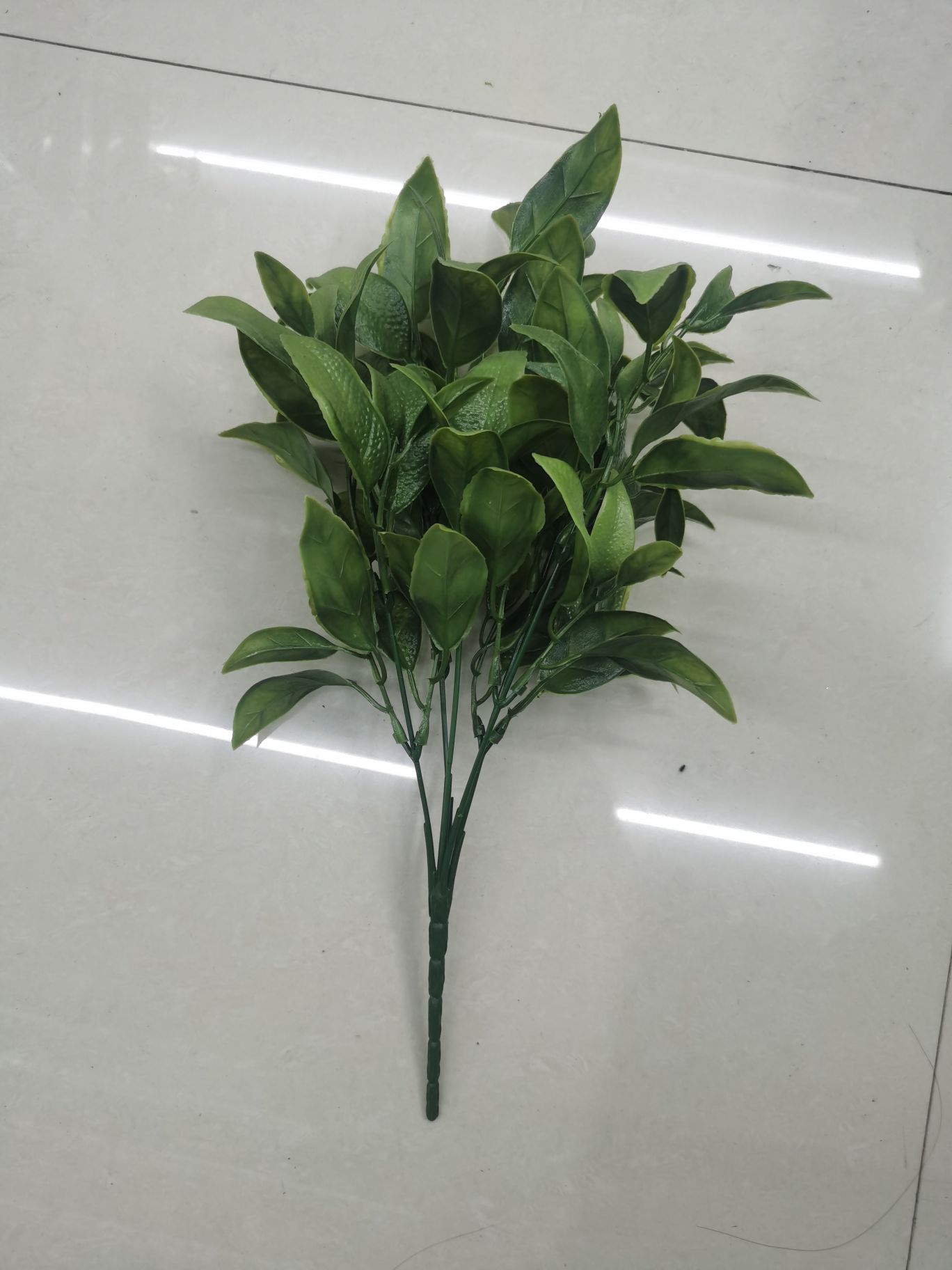 Five leaves with 25 eyes each