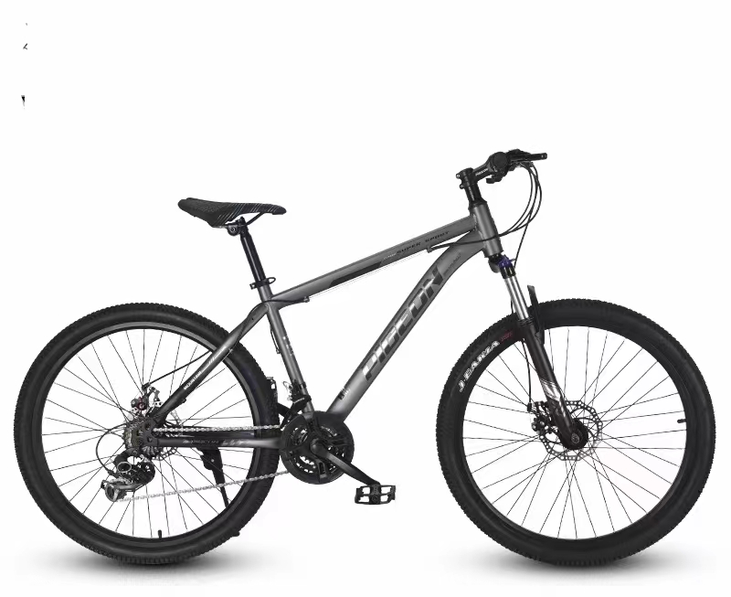 Bicicleta 24/26/27.5 pulgadas explorer cambio de velocidad 21.24.27.30 marco de acero de alto carbono, horquilla frontal cerrada, neumático exterior girure de borde suave, marca radium sin película, details Picture