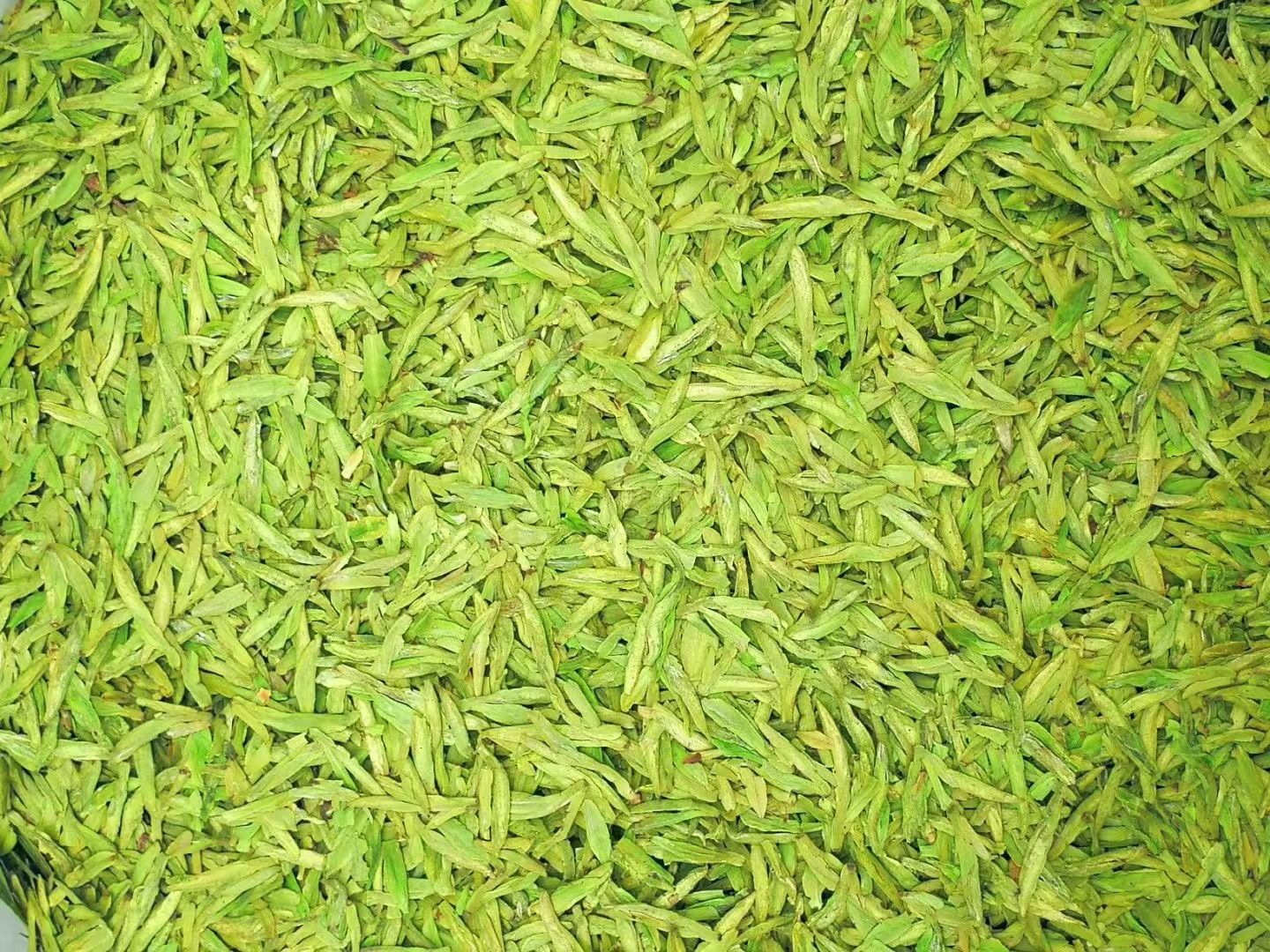 自产自销高山西湖龙井茶云雾茶网红爆款详情图4