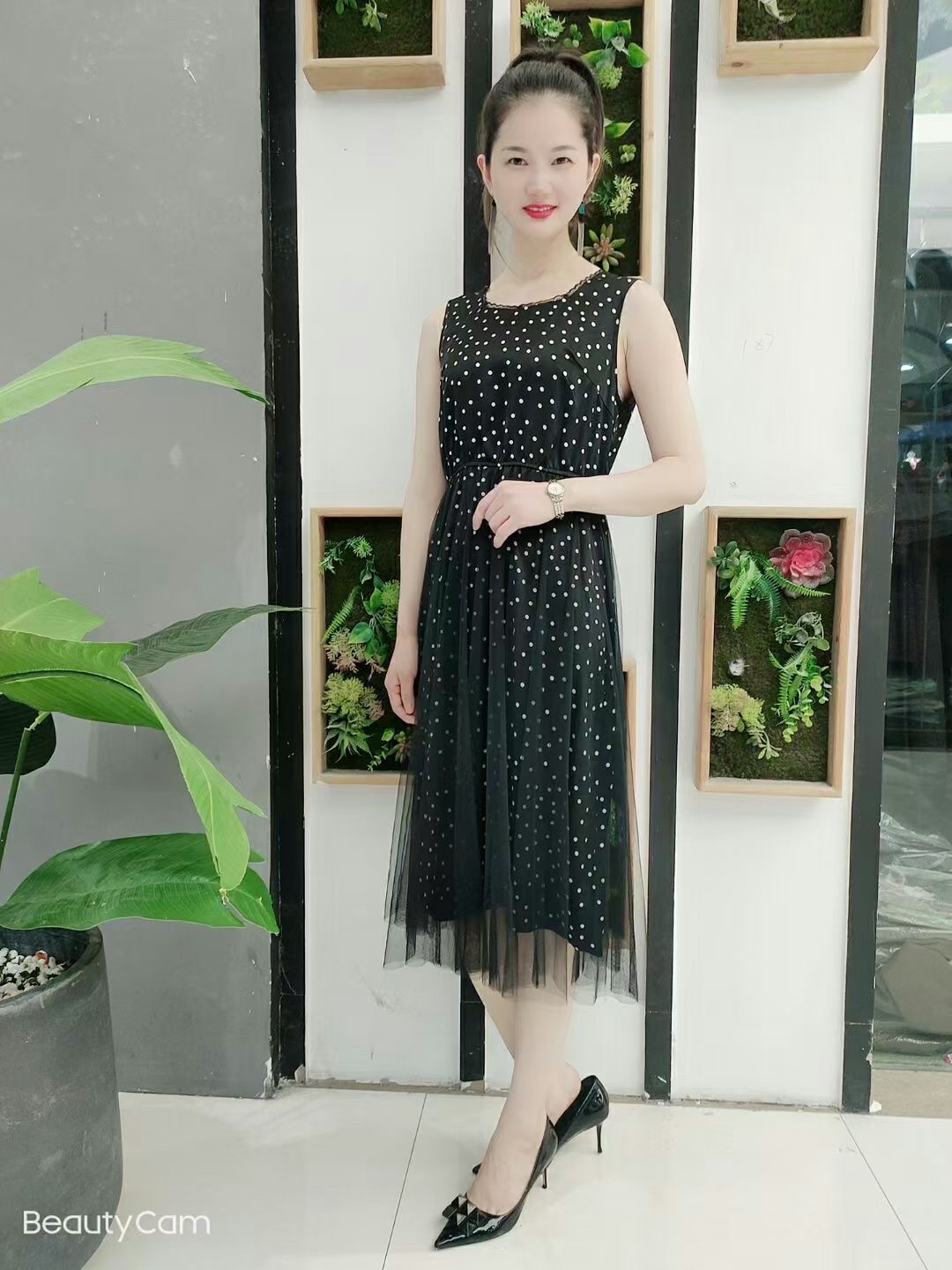 Dress Application Scenario