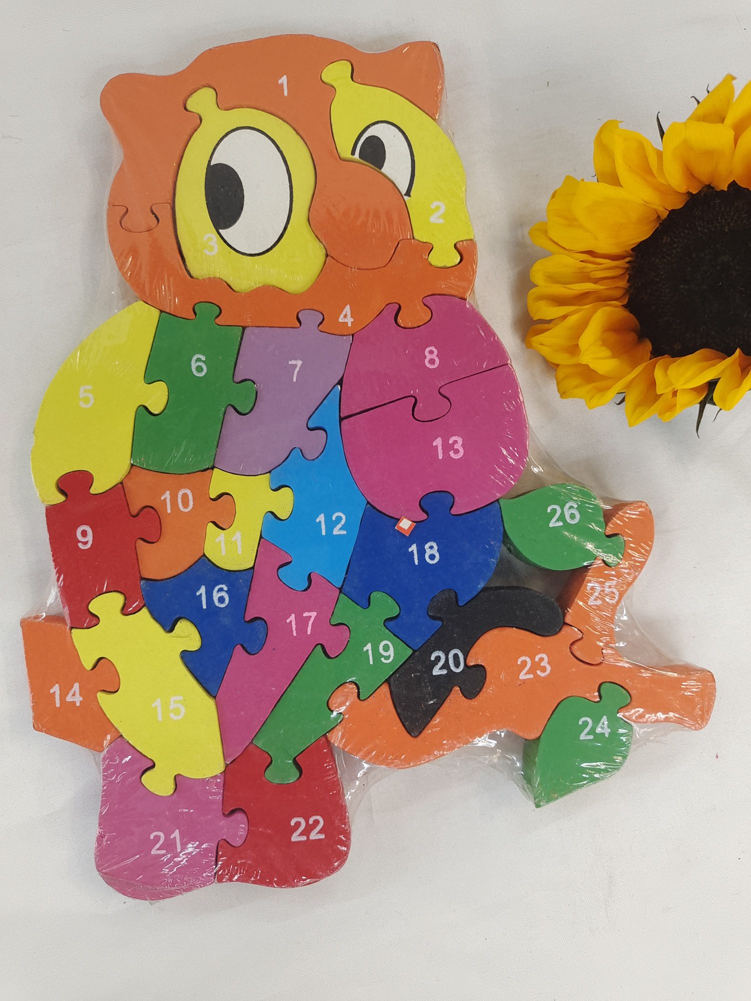 Owl, an early education and intelligence teaching aid
