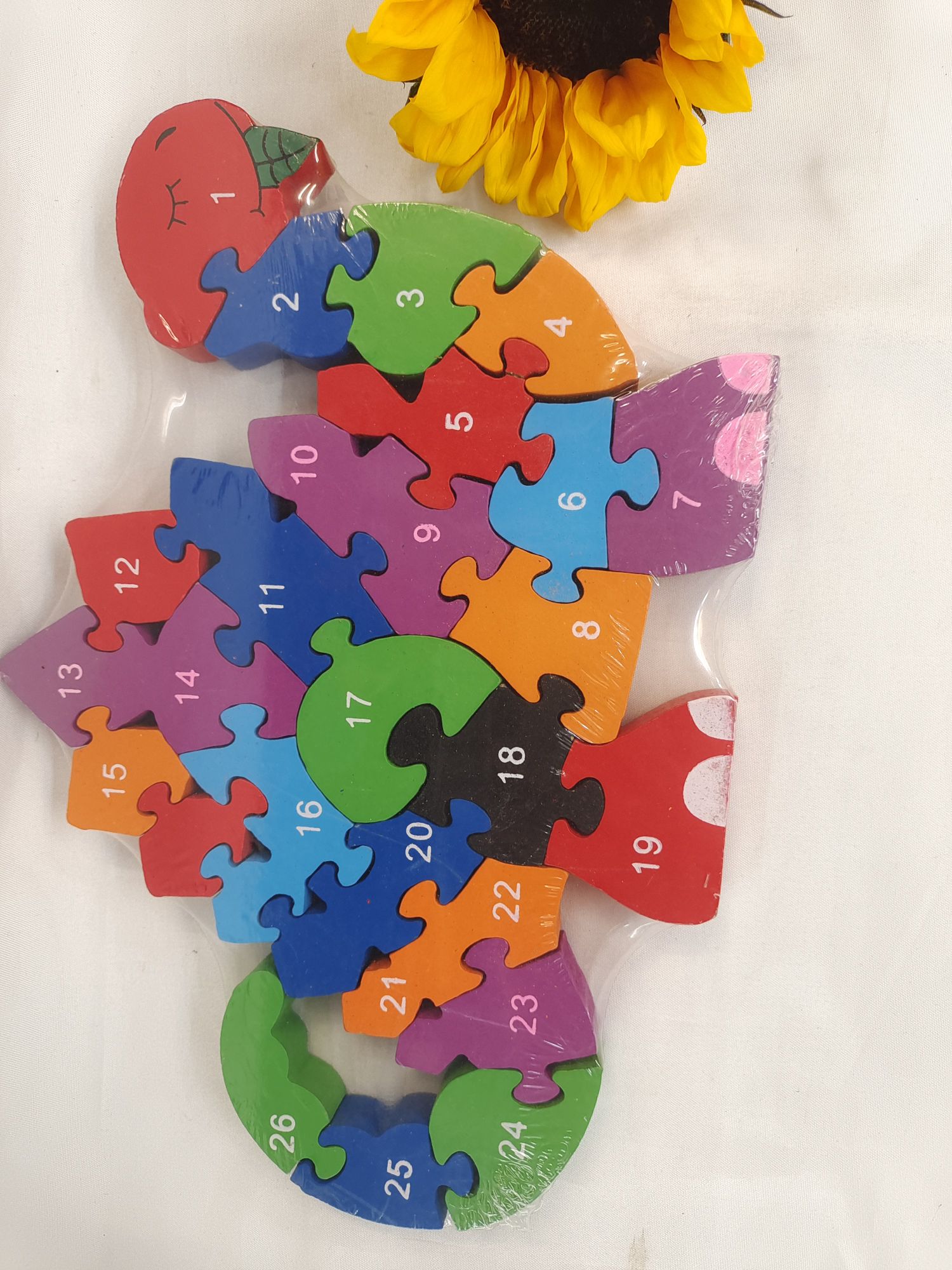 Early education and intelligence teaching aid: Horned dragon