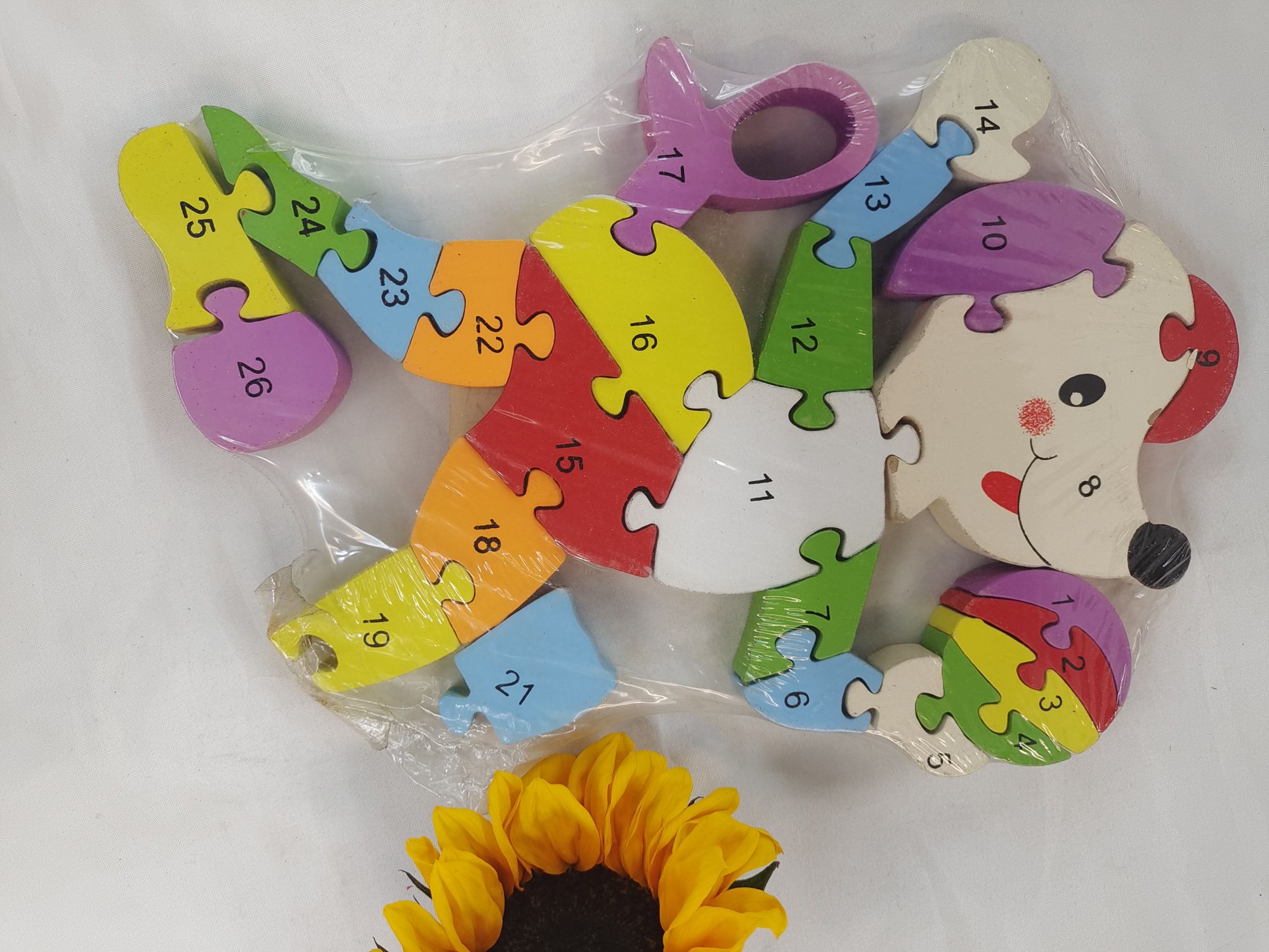 Early education and intelligence teaching AIDS, sports puppies