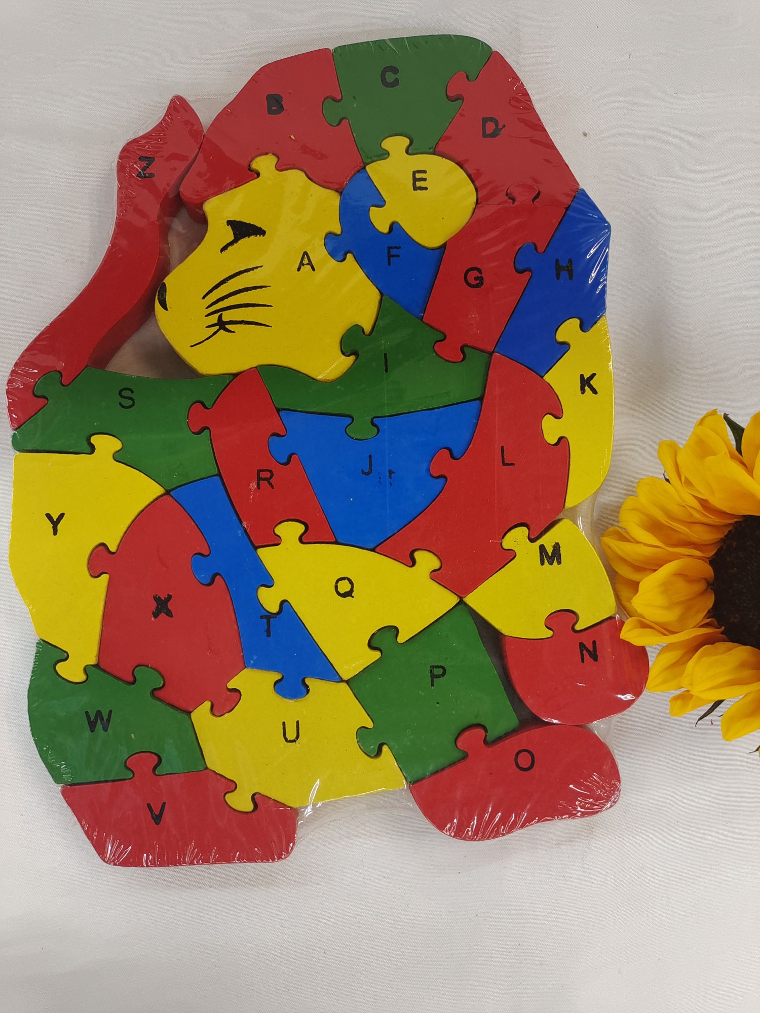 Early education and intelligence teaching AIDS puppy