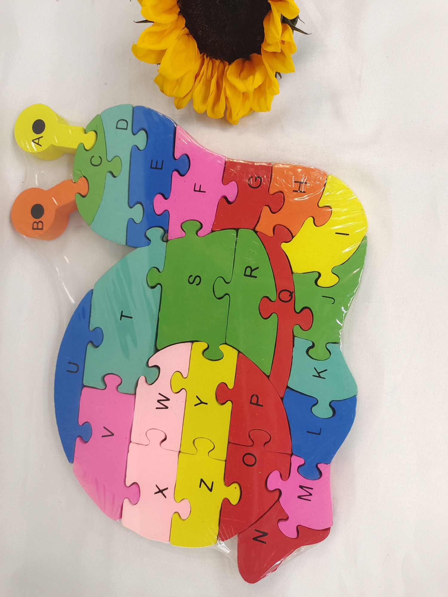 Early education and intelligence teaching aid snail