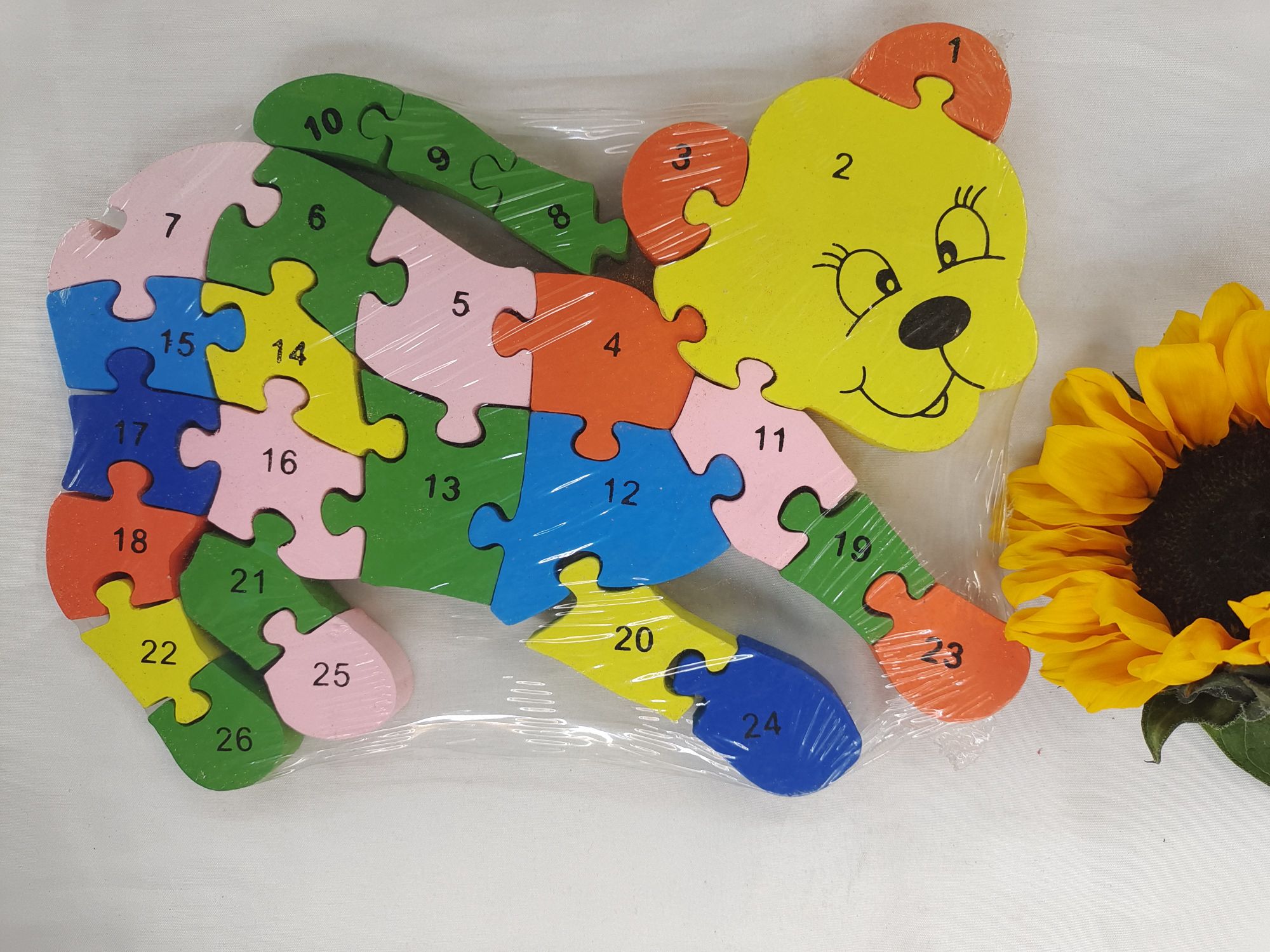 Early education and intelligence teaching AIDS for dogs