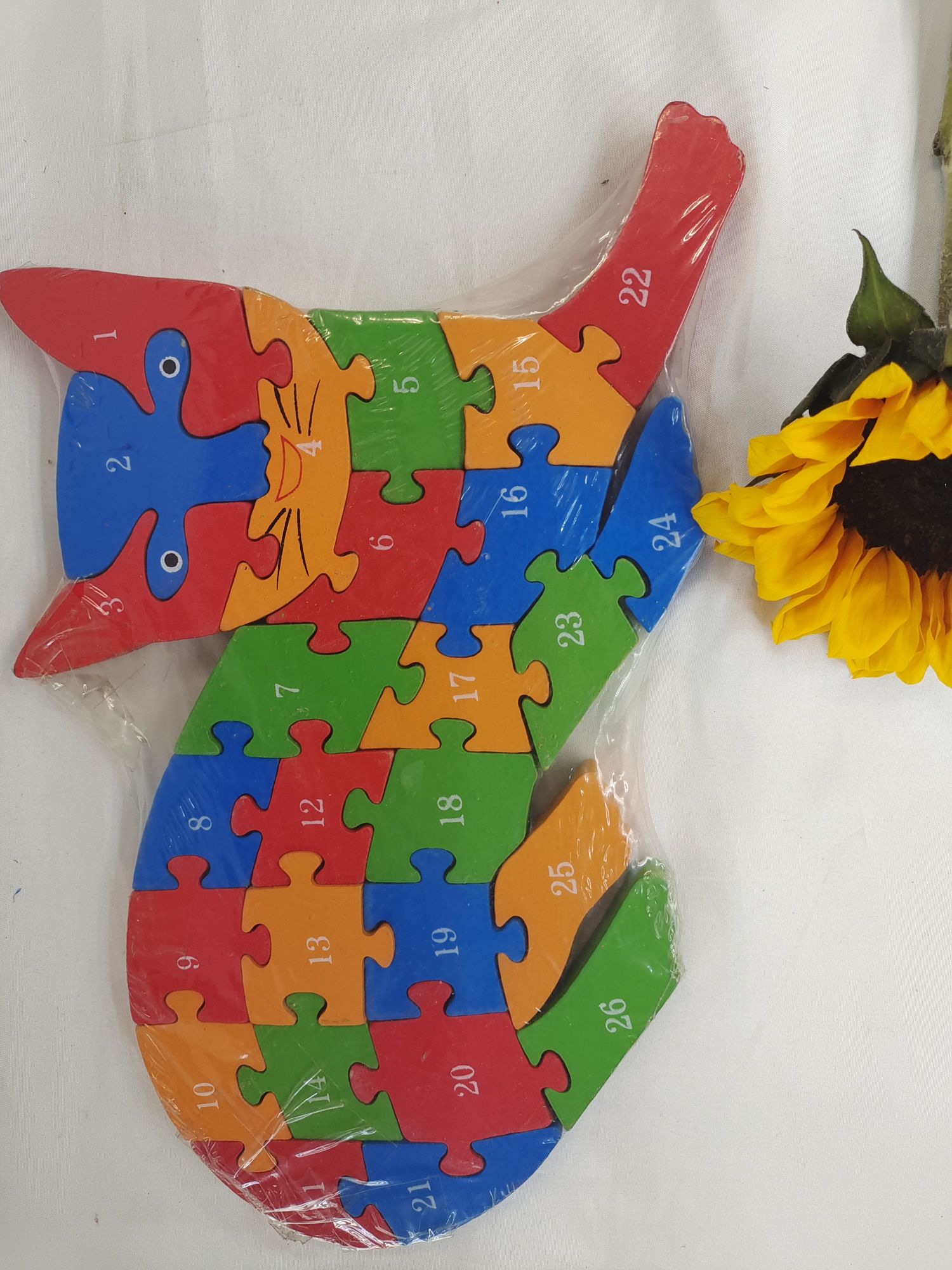 Early education and intelligence teaching AIDS cat