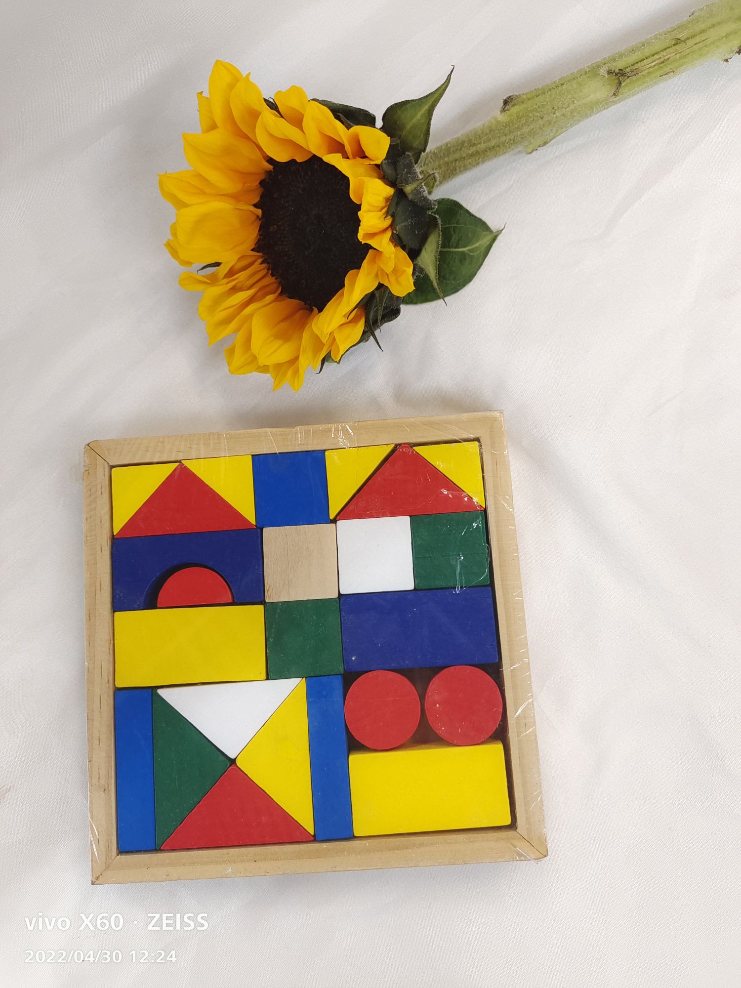 Early education and intelligence teaching AIDS: 24 building blocks
