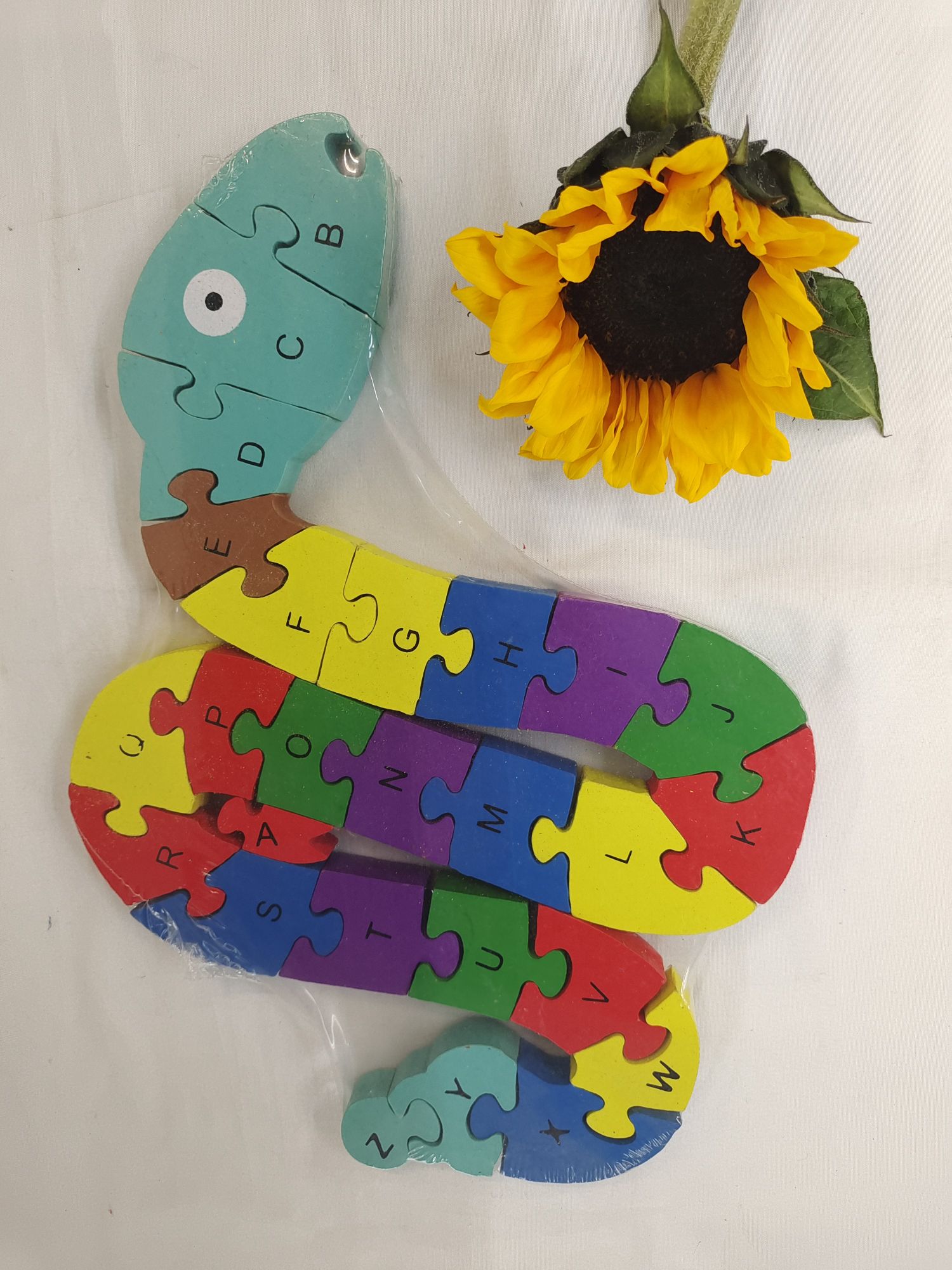 Early education and intelligence teaching AIDS: Green Snake