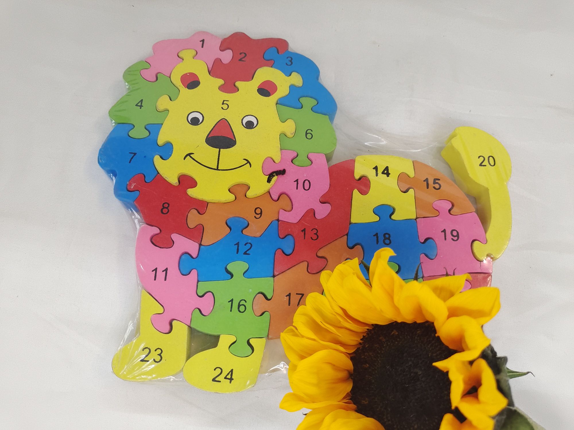 Early education and intelligence teaching AIDS: Little Lion