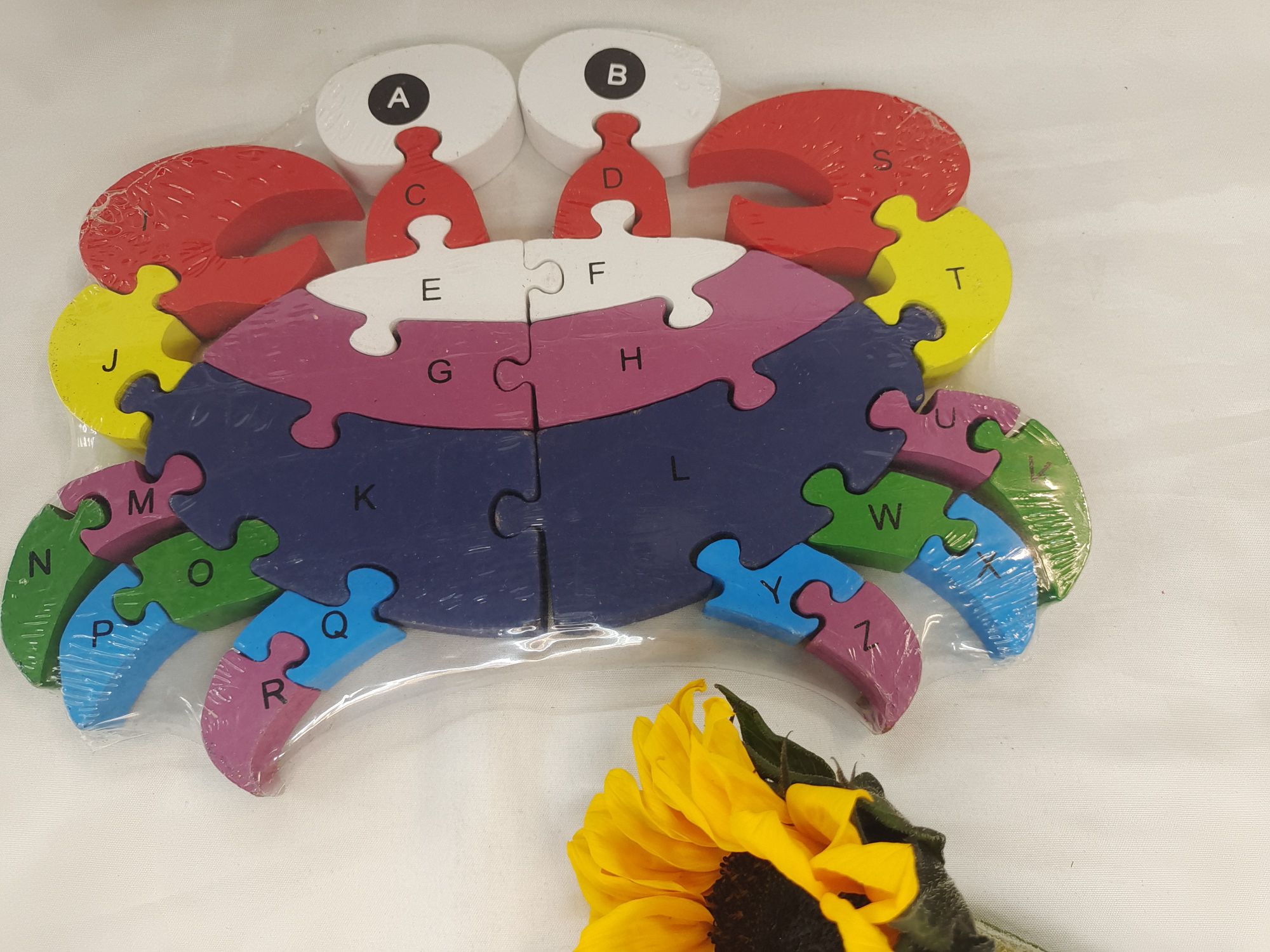 Early education and intelligence teaching AIDS - crabs