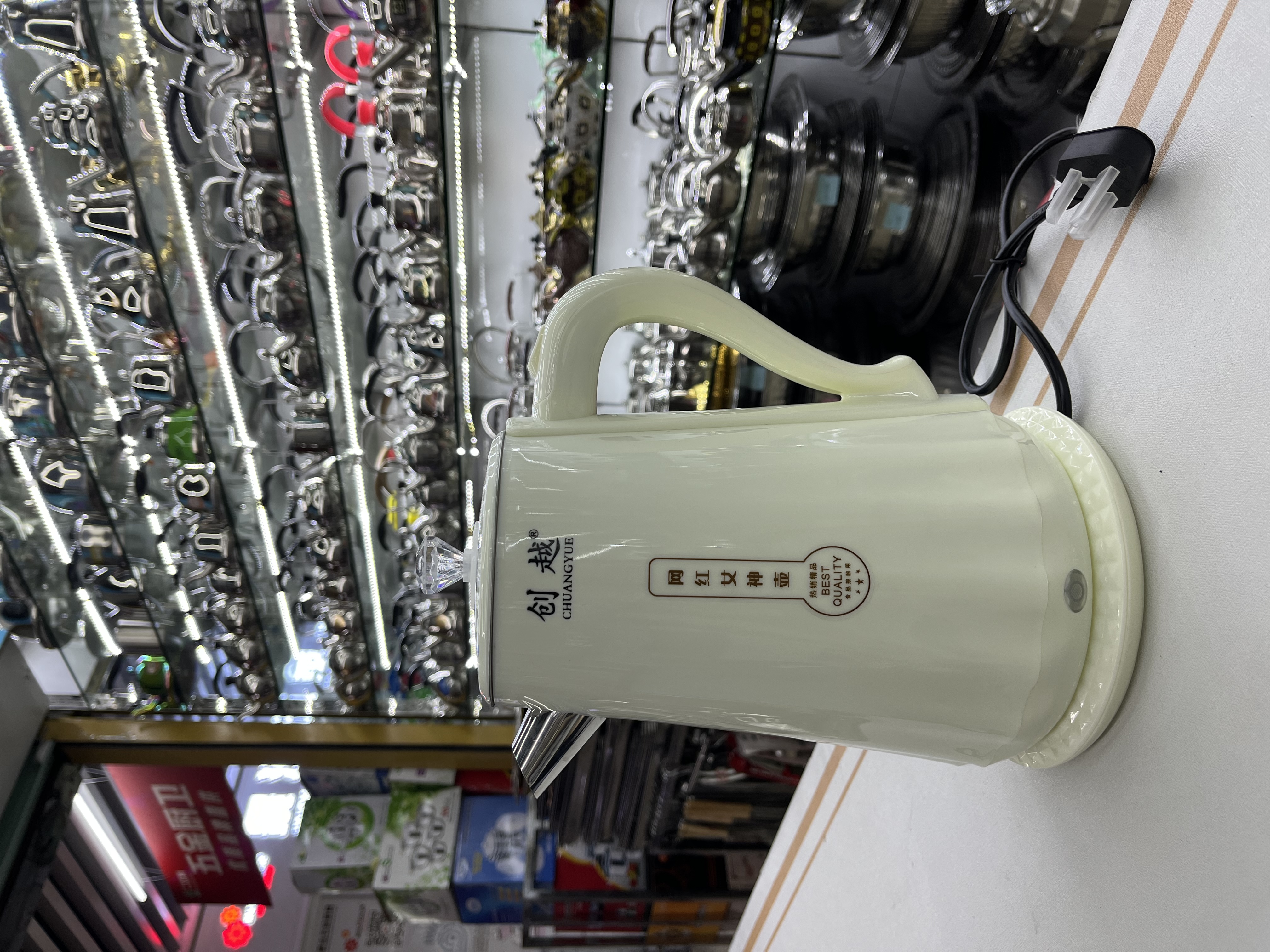 304 Electric Kettle full figure