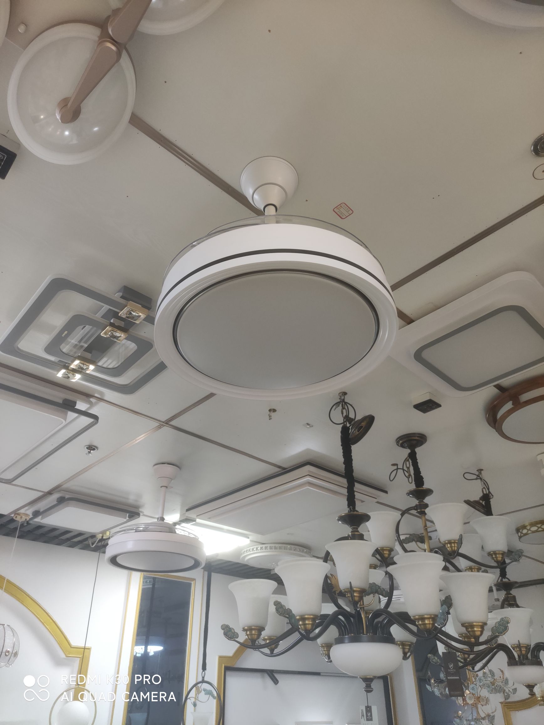 F2002 hanging fan light LED dual-color details Picture