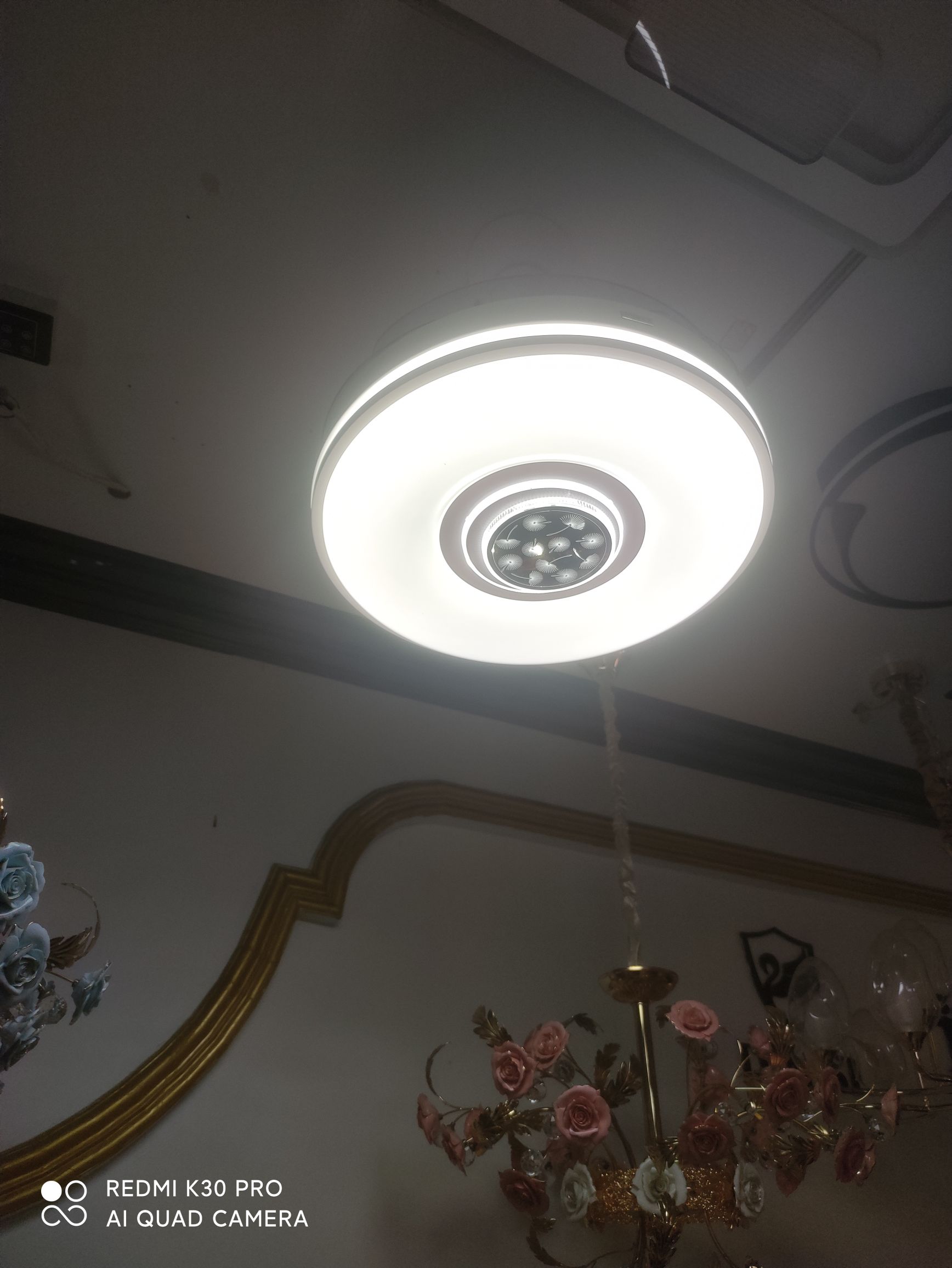 F2008吊风扇灯双色LED