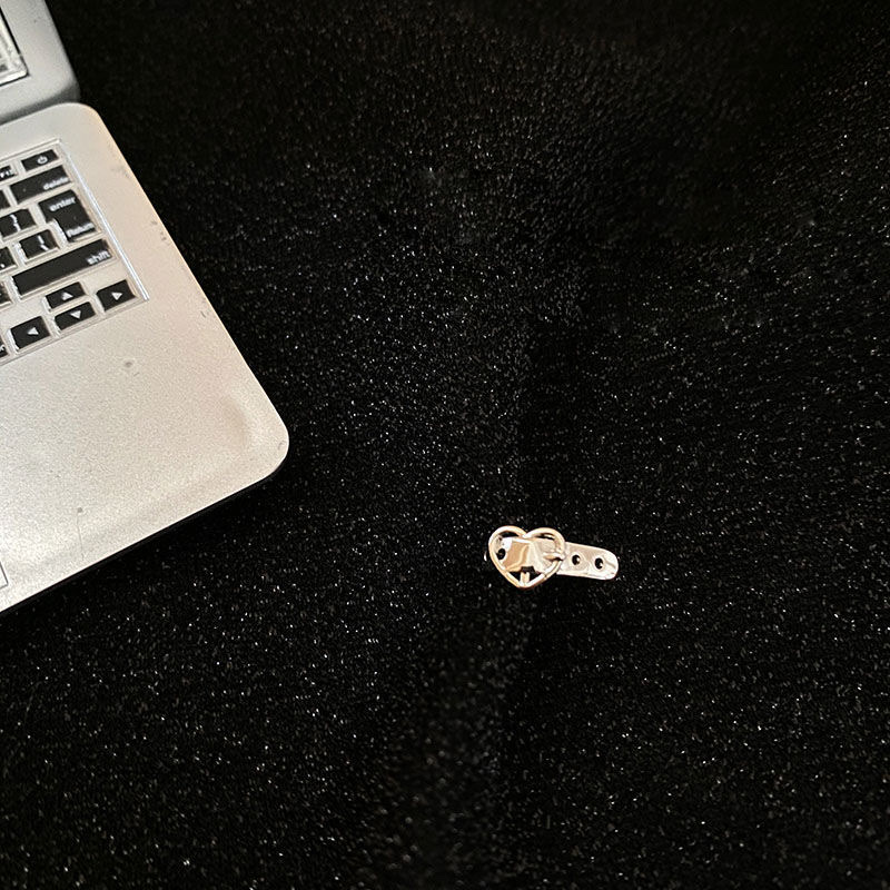 925 Silver Ear rings for women, fashionable and elegant, anti-allergy ear loops, new Korean version earrings 310