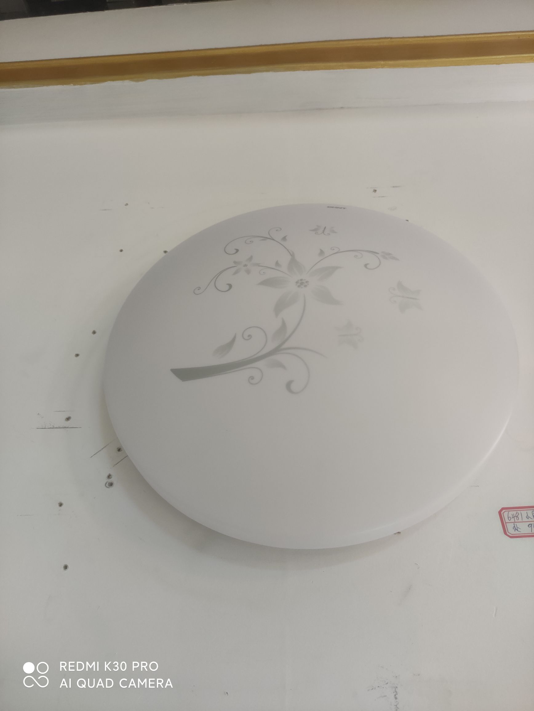 Zhengtai Yuan 24W ceiling lamp details Picture