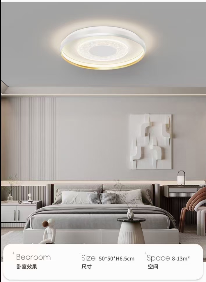 The room light has a circular diameter of 50 cm and is a dual-color LED details Picture
