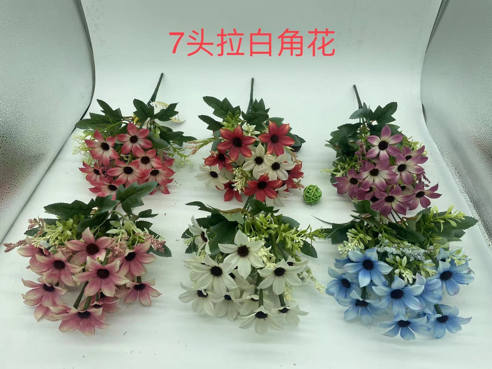 7头拉白角花