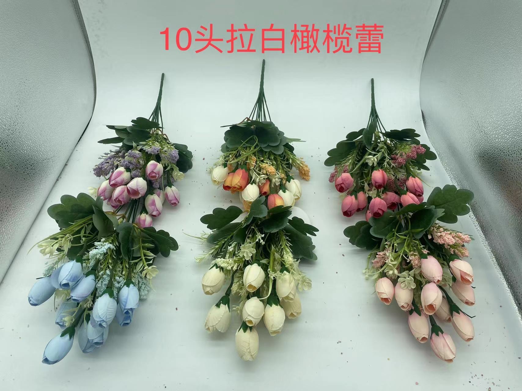 10头拉白橄榄蕾