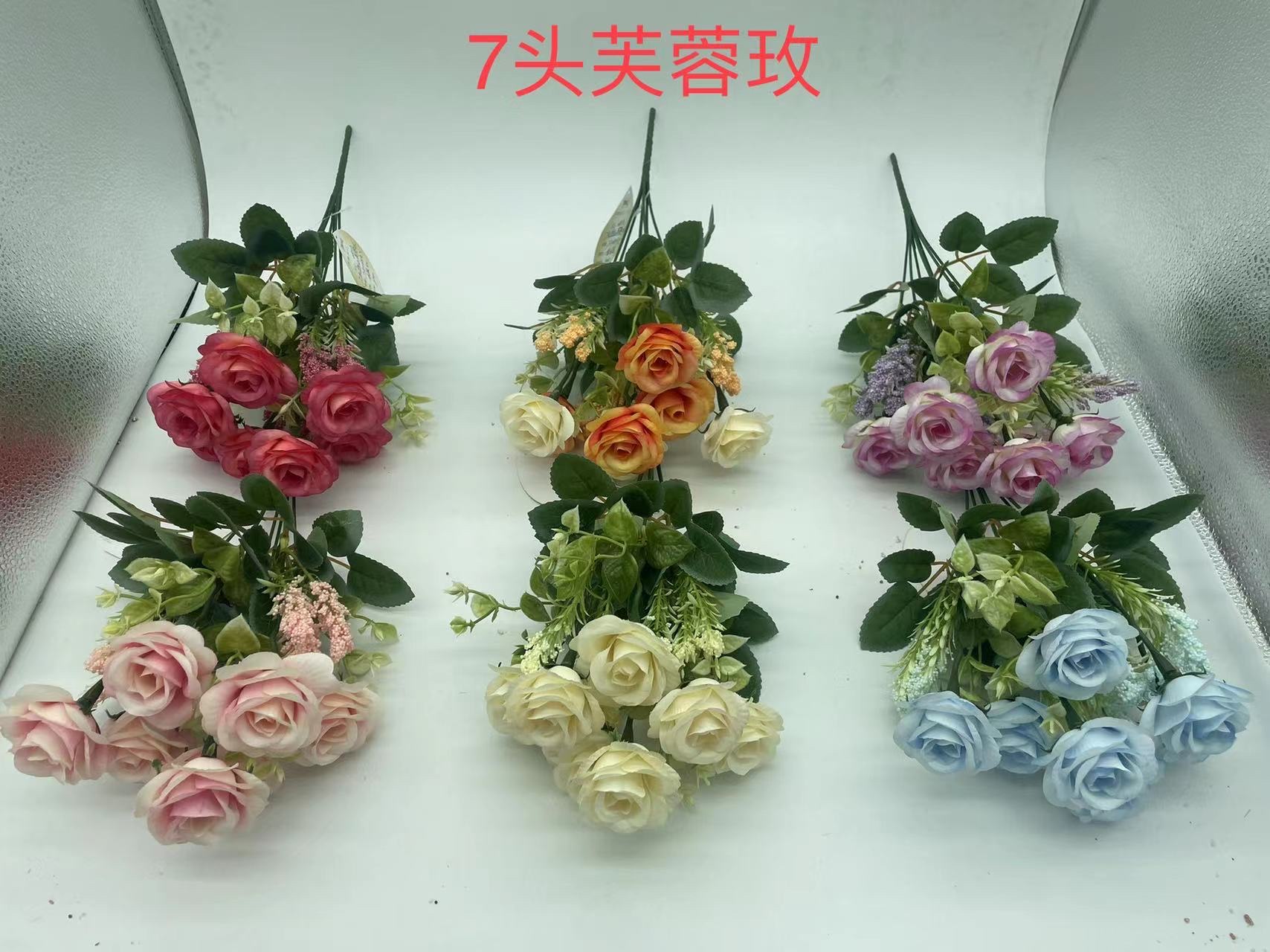 7头芙蓉玫