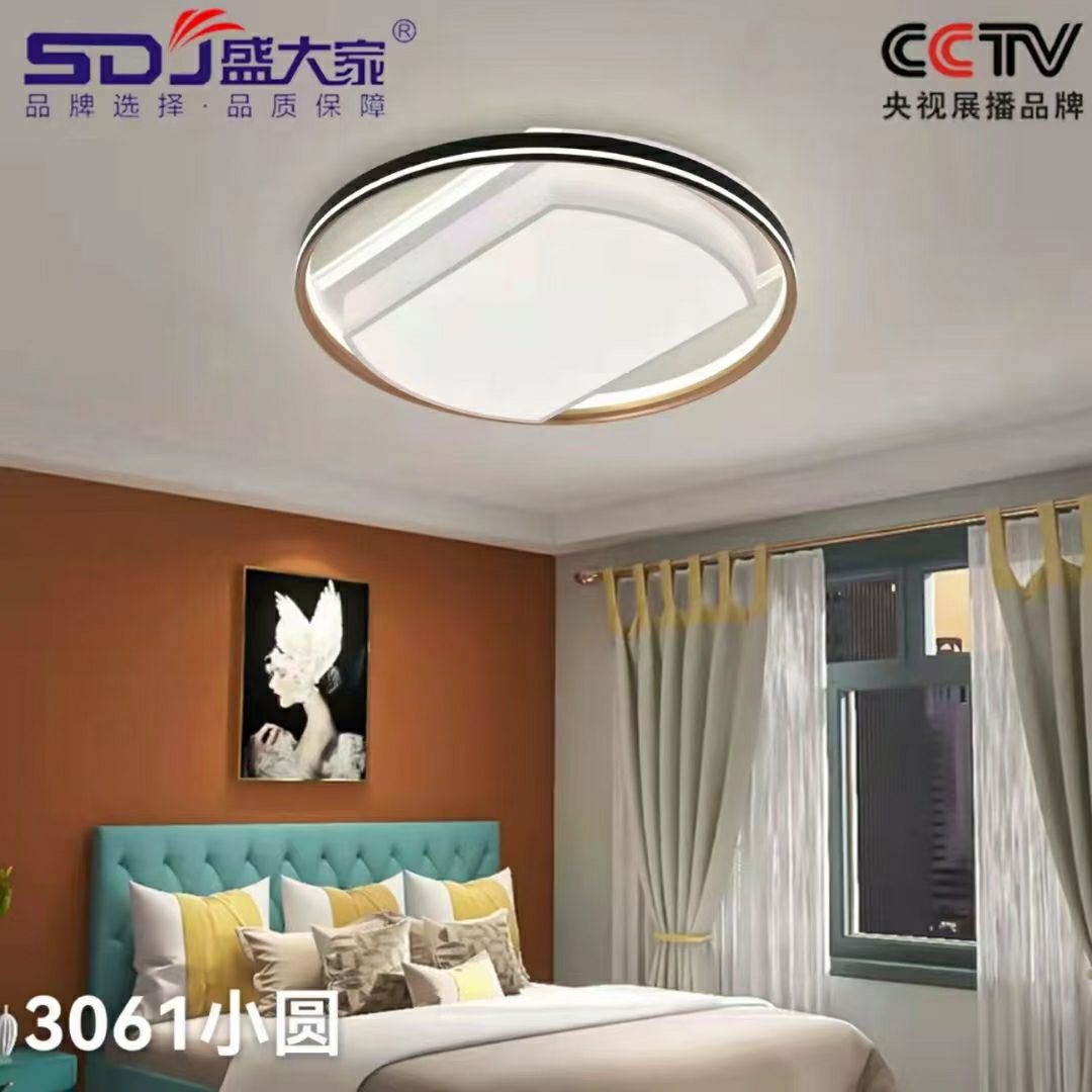 3061 small round room light LED dual-color variable light