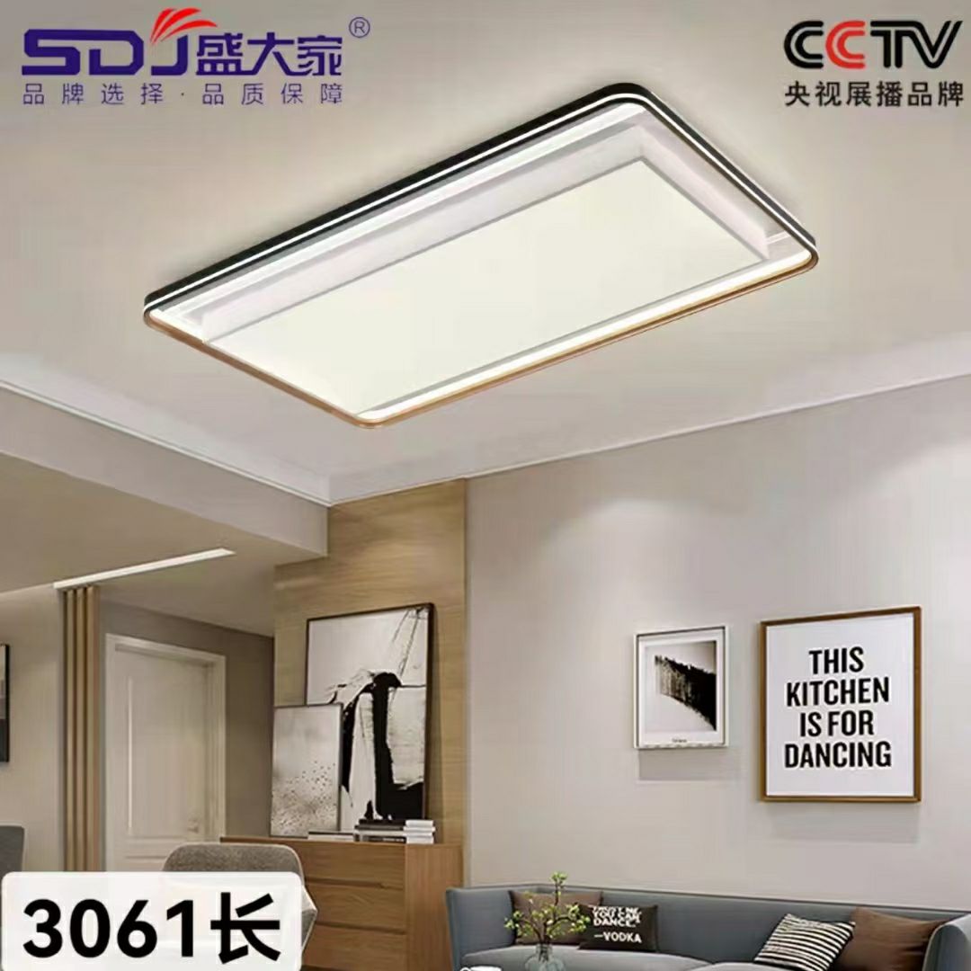 3061 rectangular living room LED dual-color variable light