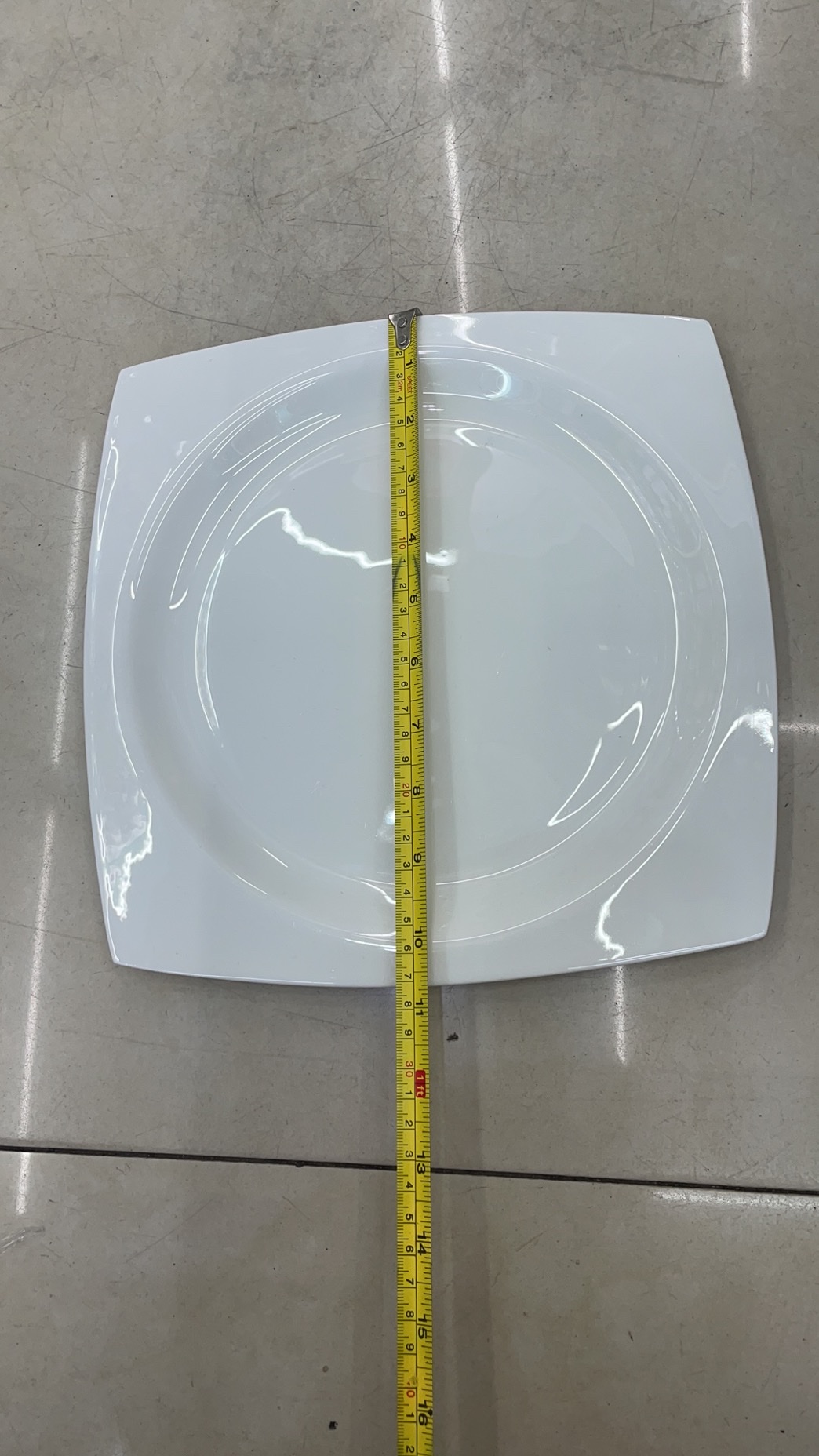 A 10.5-inch square plate