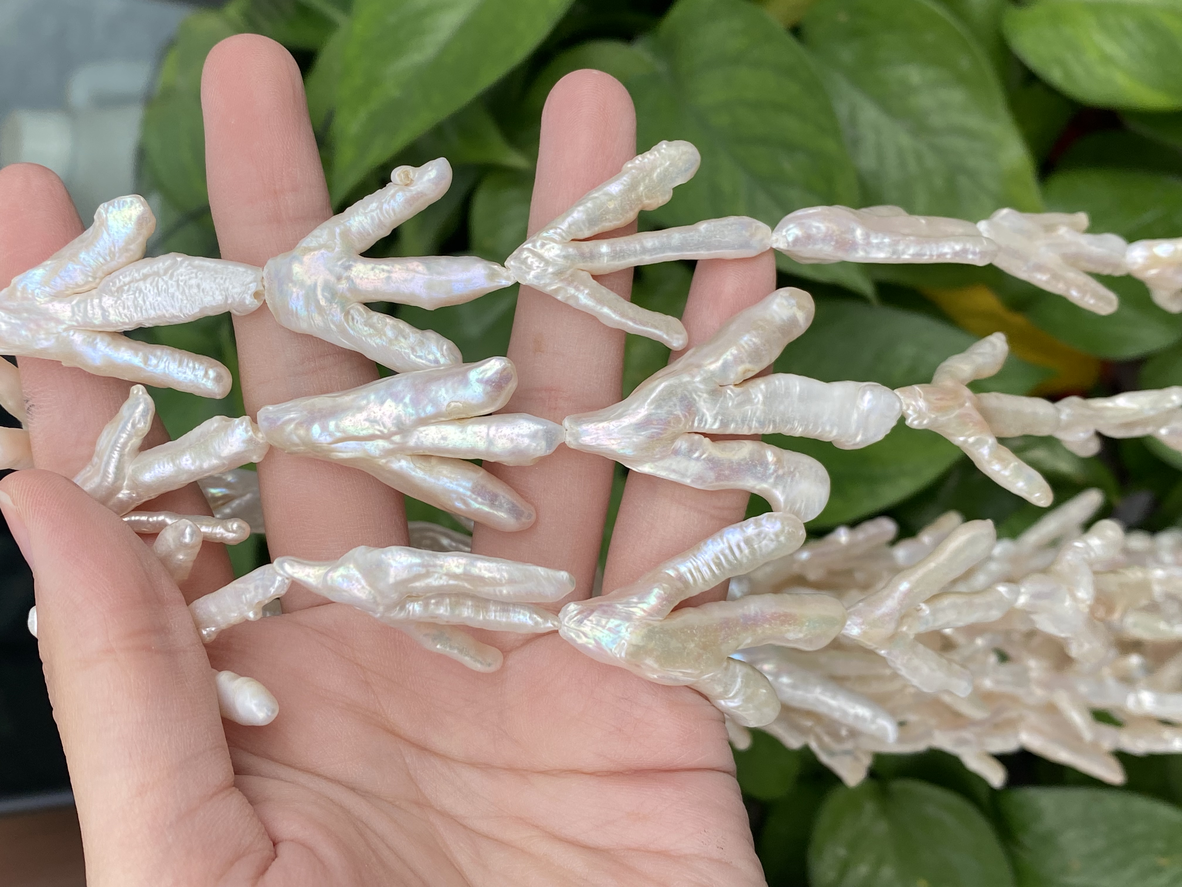 إنها لؤلؤة مياه عذبة طبيعية details Picture