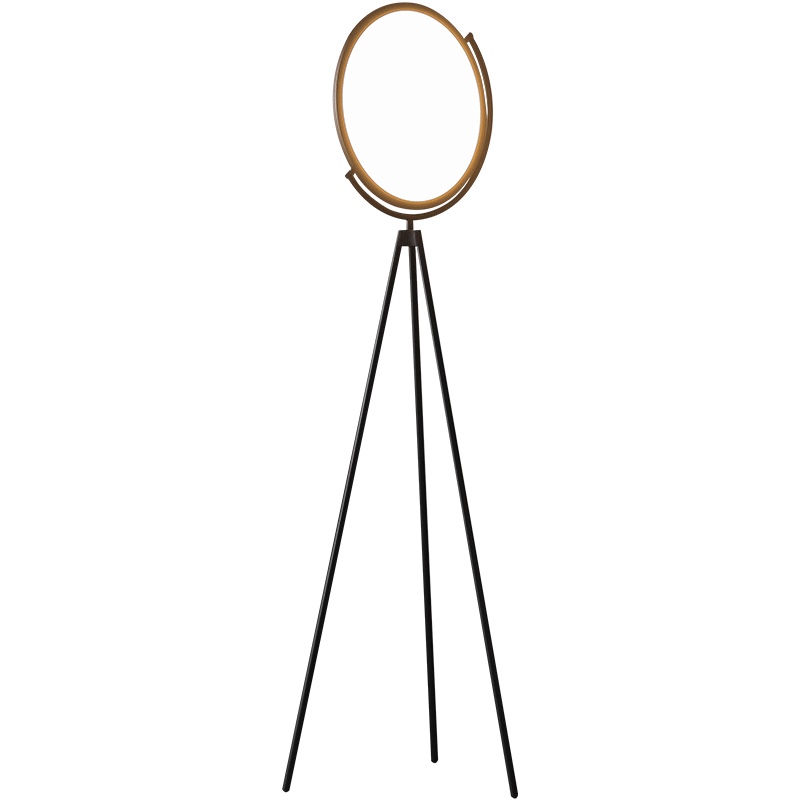 Live-streaming floor lamps are available