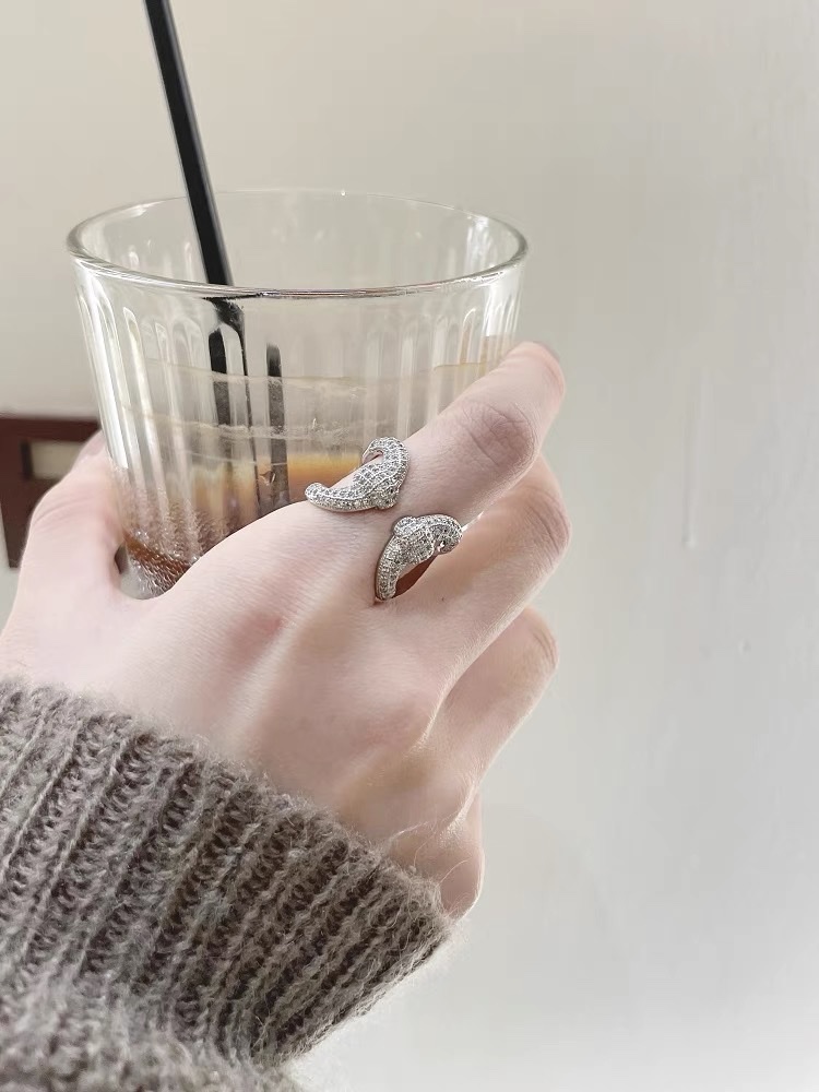 21 Zircon ring Women's simple ring, unique design sense, niche Korean fairy organ only -1050 details Picture