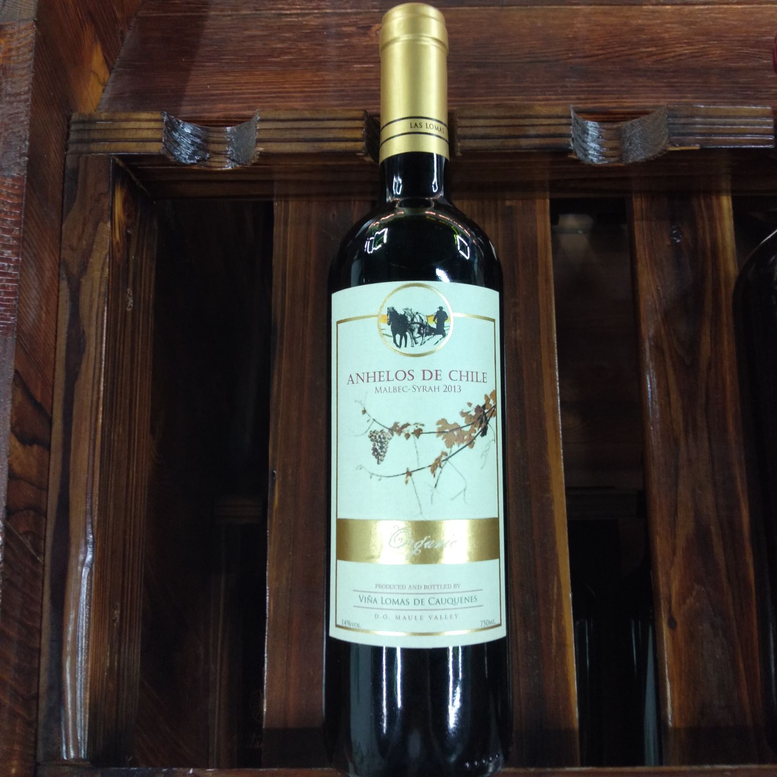 Chile Imported Dry Red Wine In Original Bottle 2 full figure