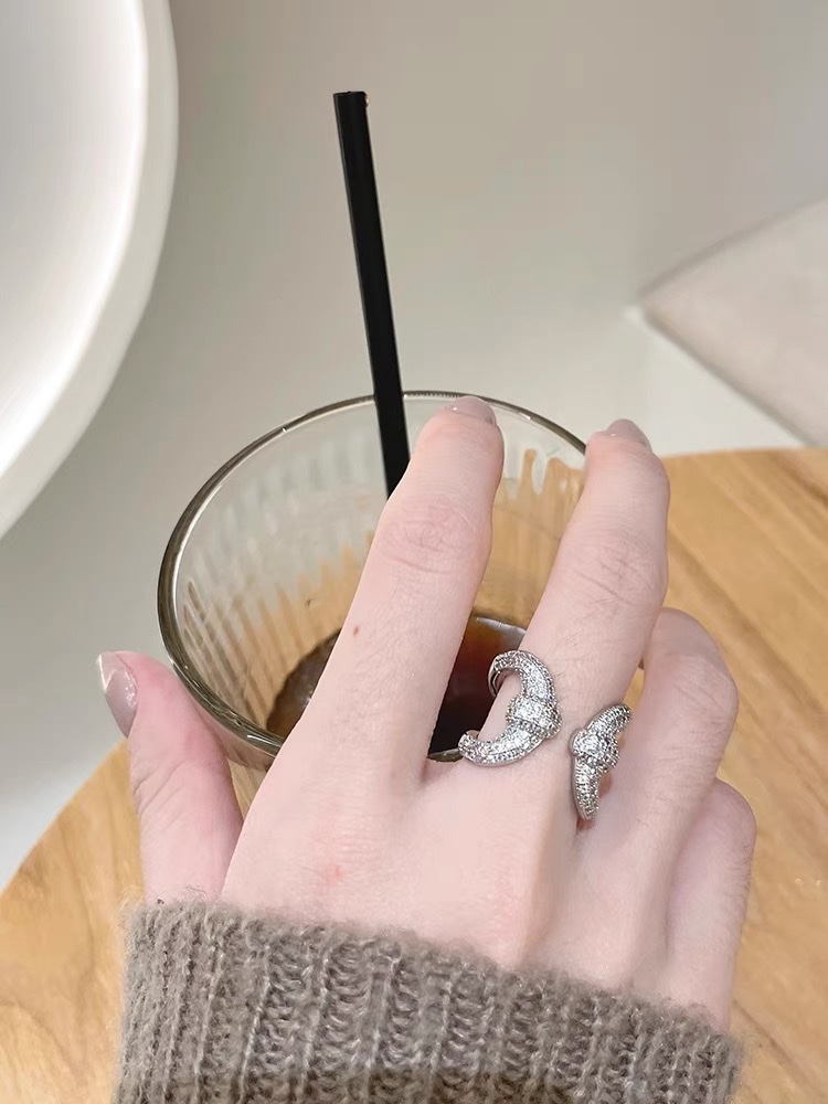 21 Zircon ring Women's simple ring, unique design sense, niche Korean fairy organ only -1050 Item Picture