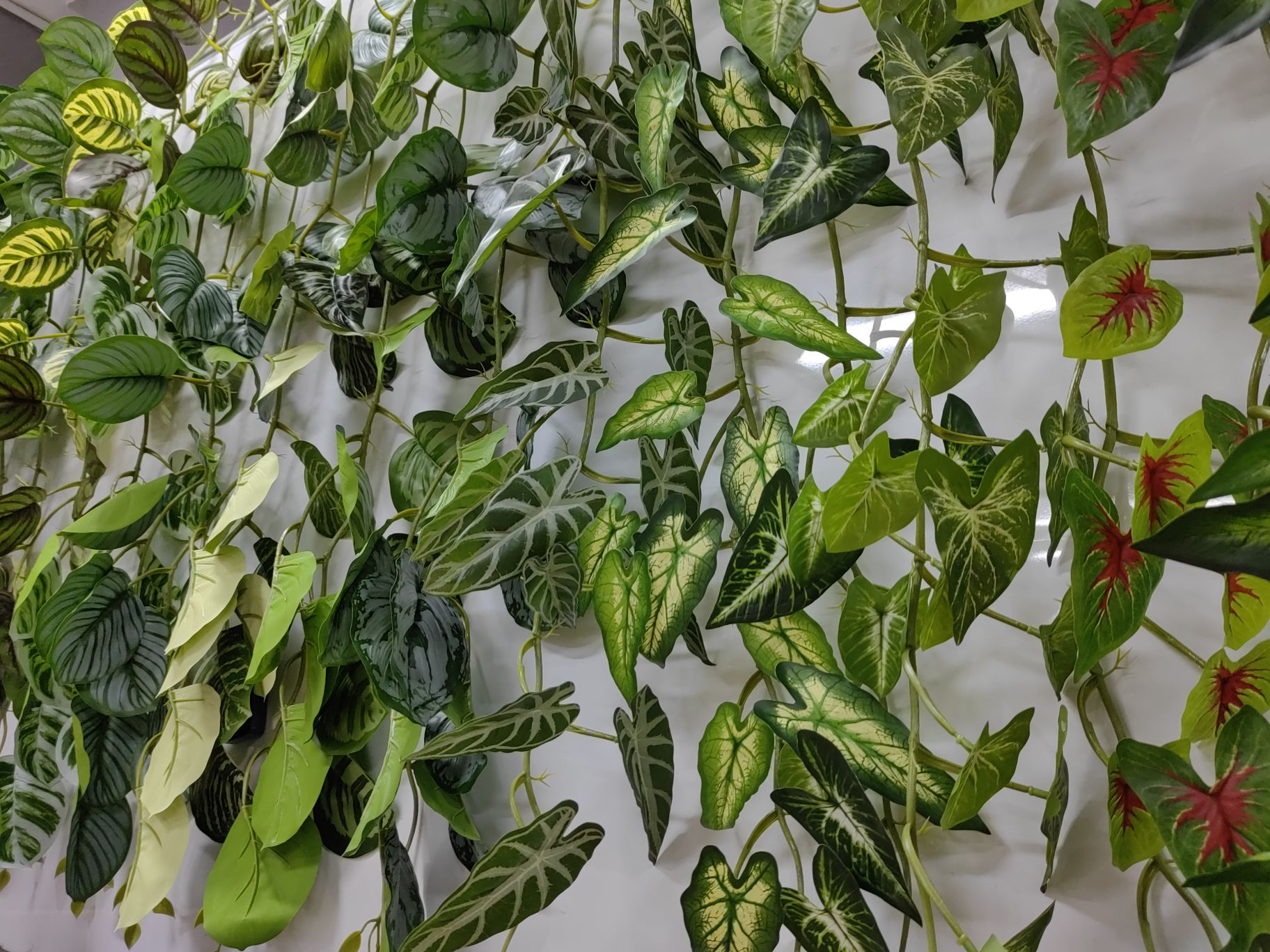 仿真藤蔓植物藤条墙面装饰品细节图